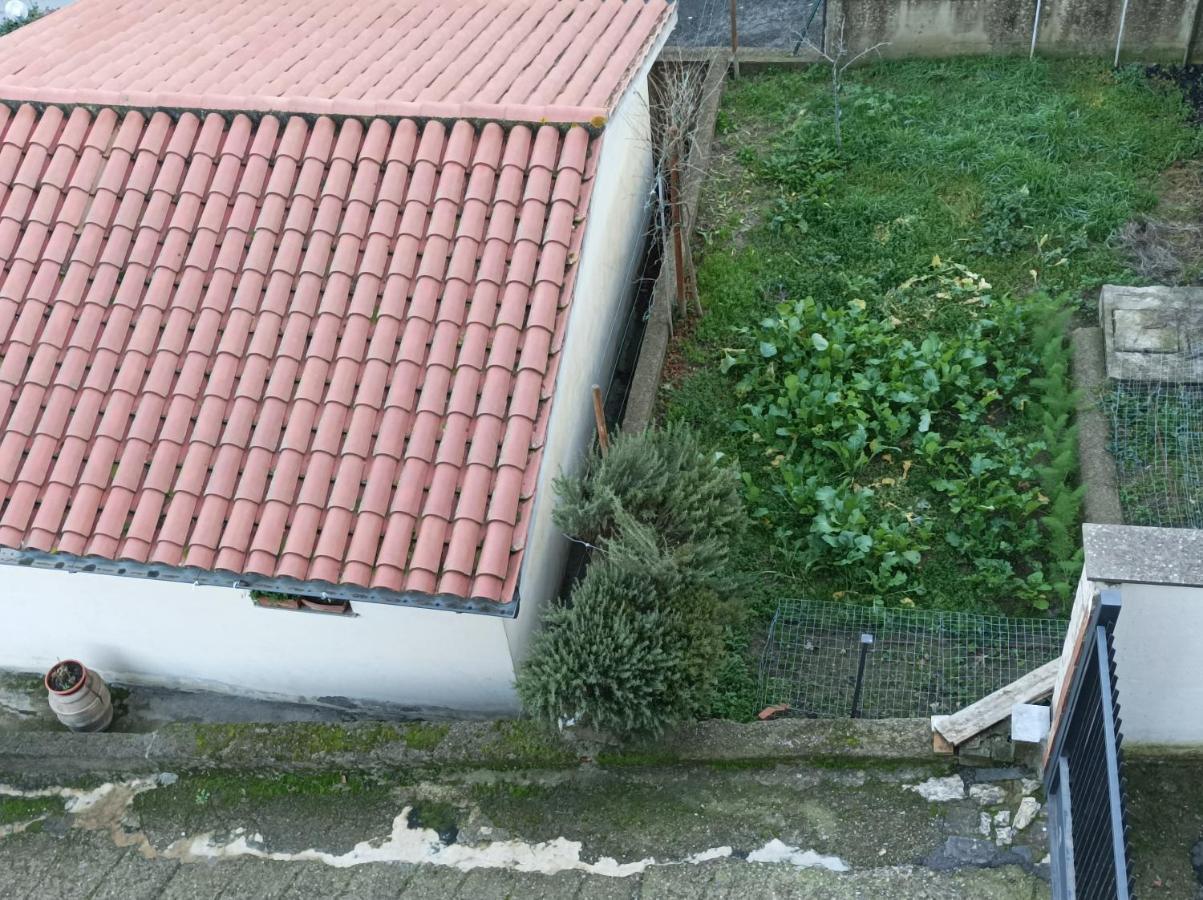 Casa Piagge Leilighet Orvieto Eksteriør bilde